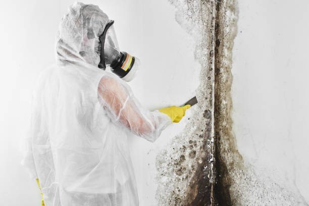 Best Mold Testing  in Fort Pierre, SD