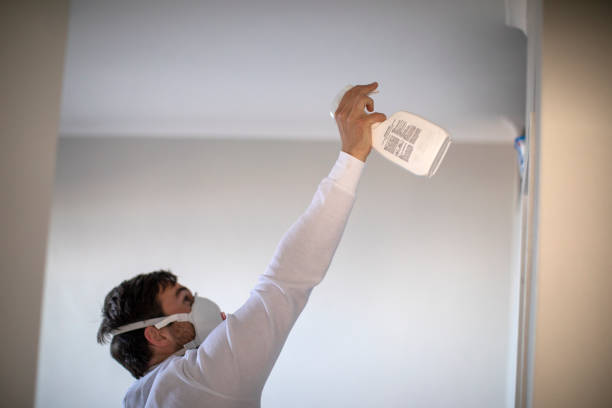 Best Home Mold Removal  in Fort Pierre, SD