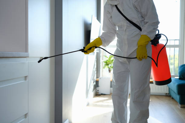 Best Professional Mold Removal  in Fort Pierre, SD