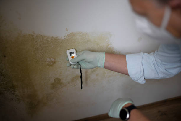 Best Crawl Space Mold Removal  in Fort Pierre, SD