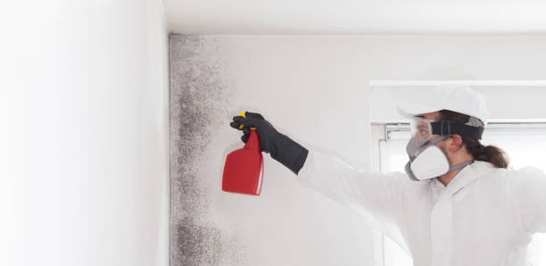 Best Residential Mold Removal  in Fort Pierre, SD