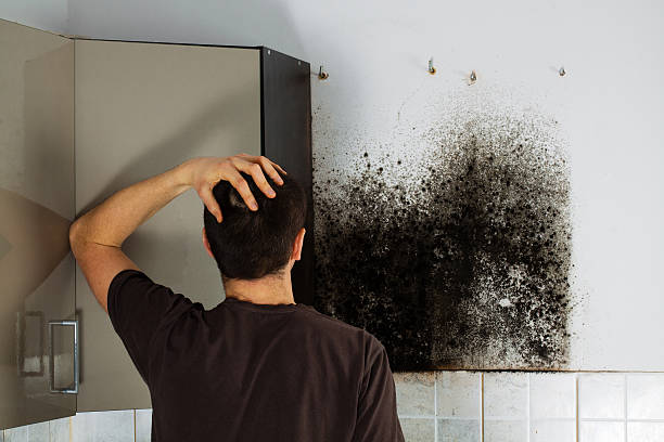 Best Commercial Mold Removal  in Fort Pierre, SD